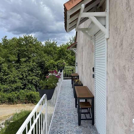 Appartements St. Pancrace Corte  Luaran gambar